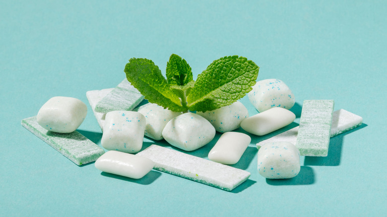 Chewing Gum (Mint or Herbal)