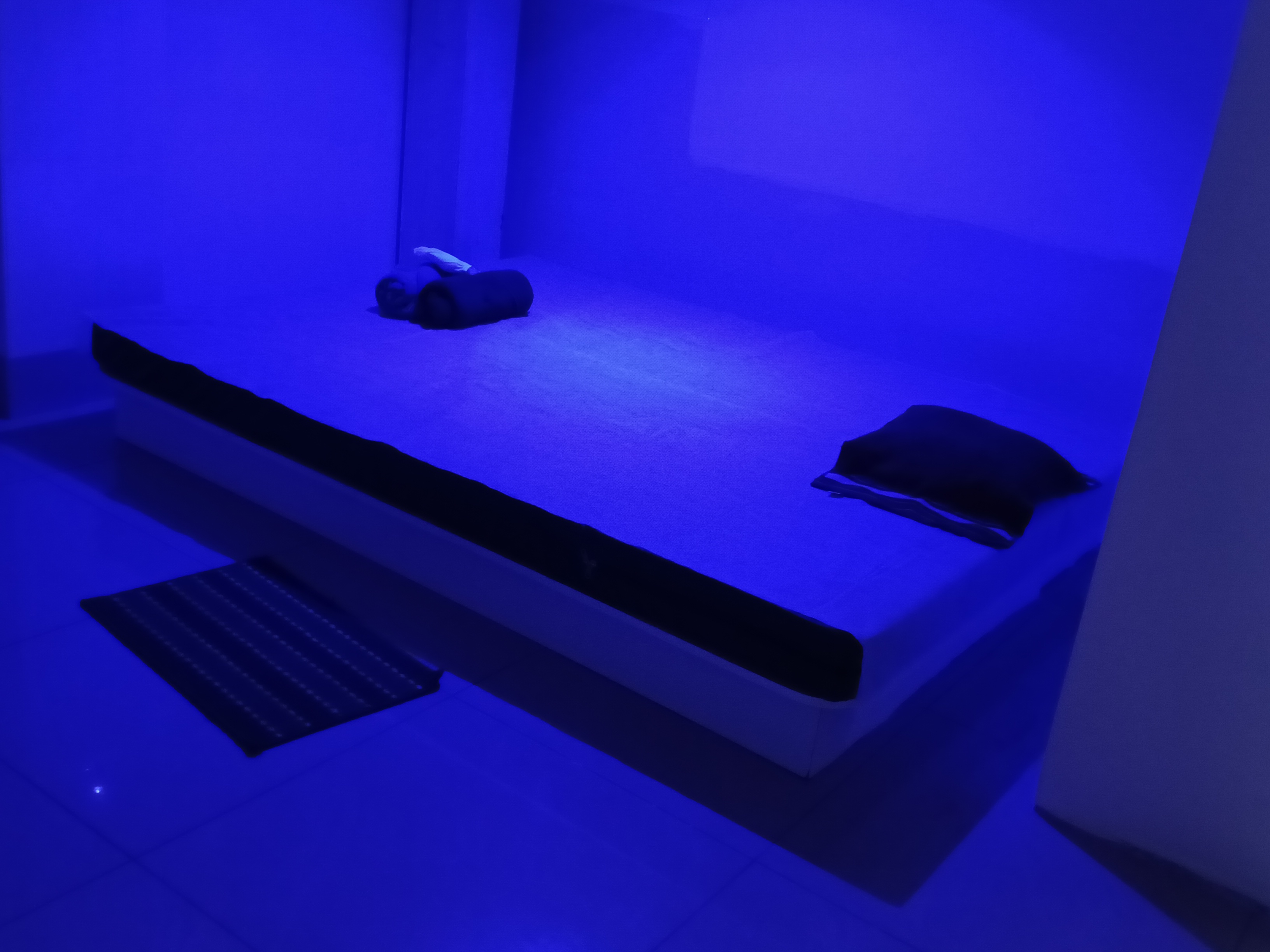 Vendor
