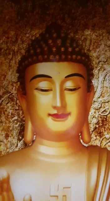 Vendor