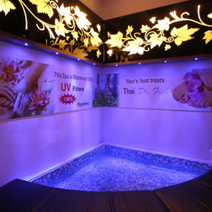 Fish Spa Services