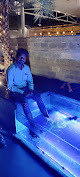 FISH SPA