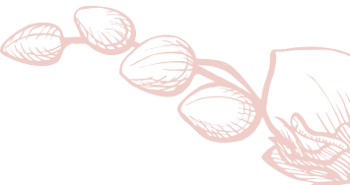 shape-1